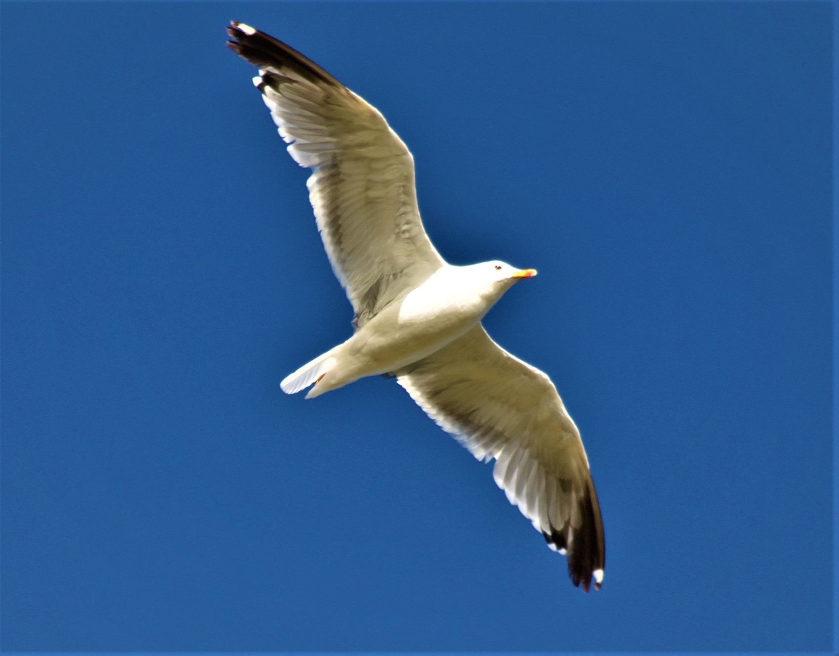 main page
